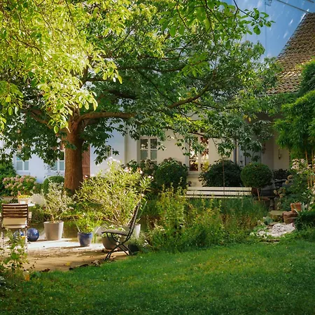 Zweilinden Bonn Гостевой дом 3*