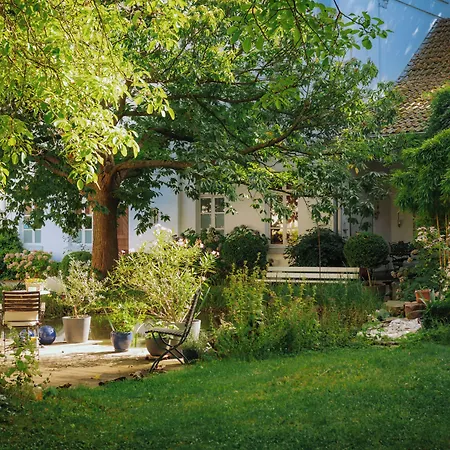 Zweilinden Bonn Guest house