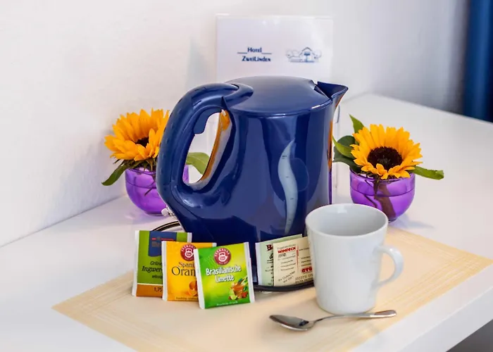 Zweilinden Bonn Guest house